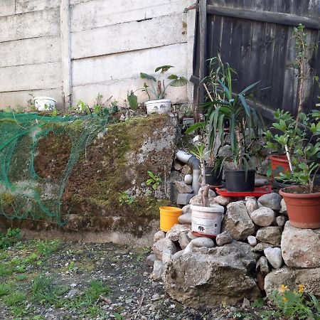 Casa Adrian Camere Centru Vechi Braszów Zewnętrze zdjęcie