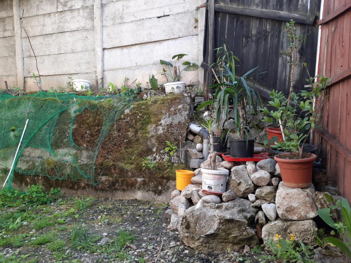 Casa Adrian Camere Centru Vechi Braszów Zewnętrze zdjęcie