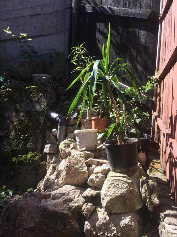 Casa Adrian Camere Centru Vechi Braszów Zewnętrze zdjęcie